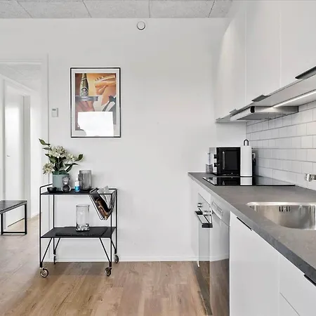 917-hvide-sande-langsand-176-stuen Apartmán Hvide Sande